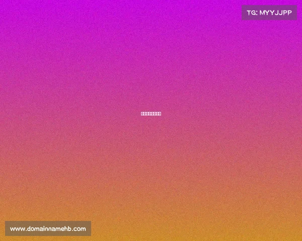 篮球赛事都有什么